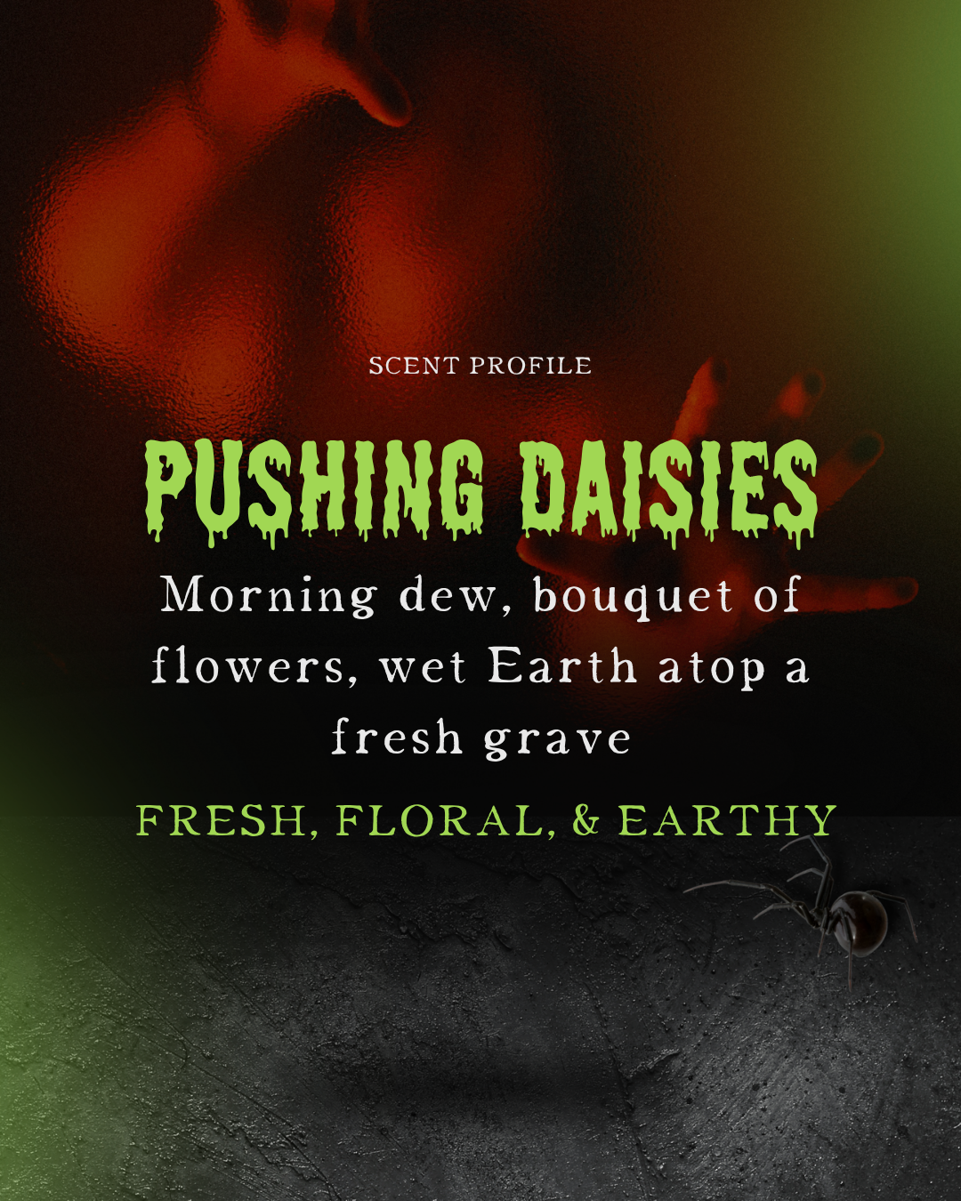 Pushing Daisies - Beard Oil